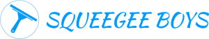 SQUEEGEE BOYS